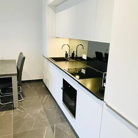Luxury 1bedroom With Parking In Center&large Terrace -cd3